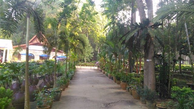 Malacca Botanical Garden